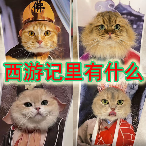 西游记系列动物园里有什么装饰画