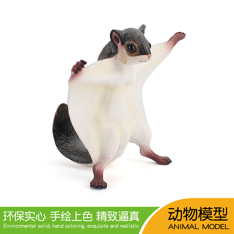 跨境热销仿真野生森林动物飞鼠模型静态鼯鼠飞虎儿童启蒙认知摆件