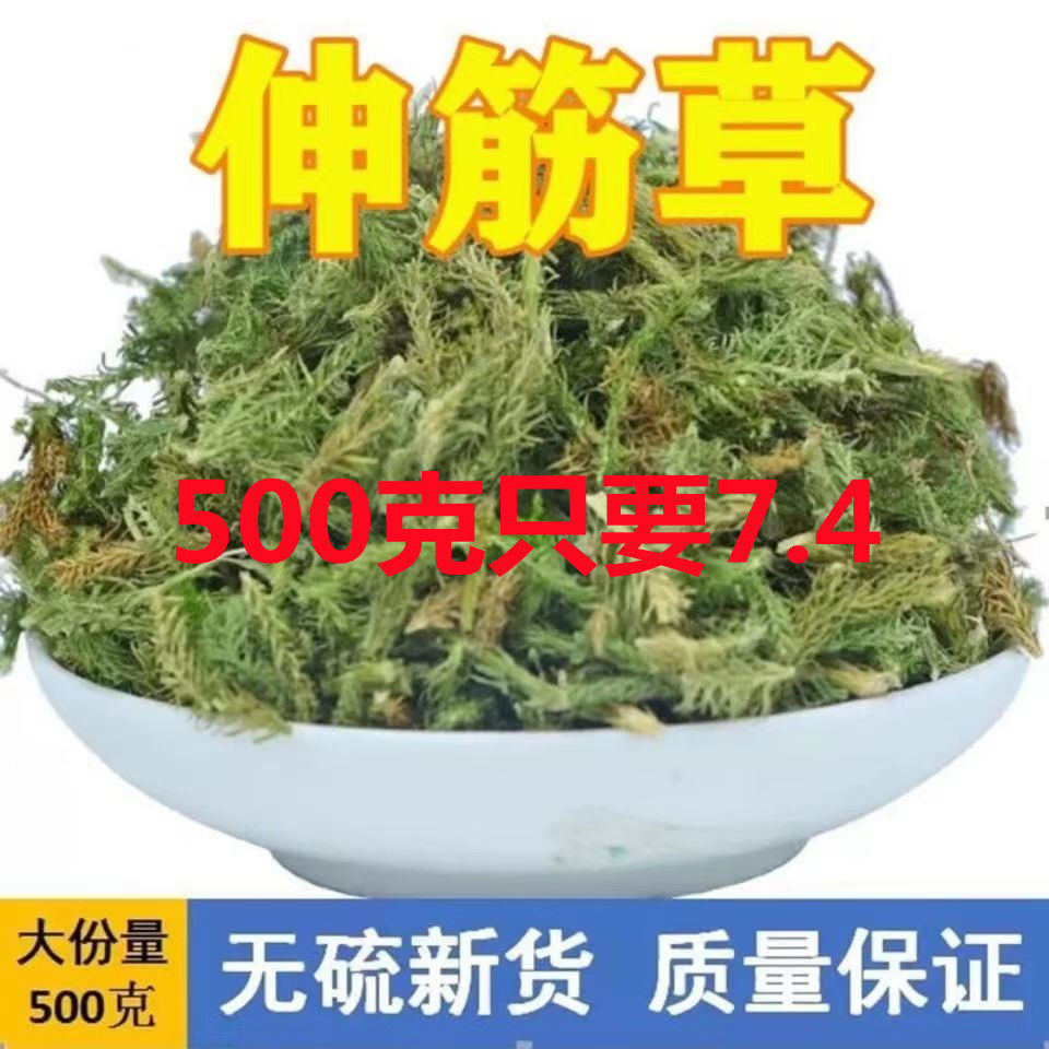 中药材伸筋草 筋骨草 正品新货透骨草舒筋草石松狮子500g包邮