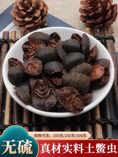 中药材土元虫土鳖虫地鳖虫蛰虫新鲜土元干土元粉土鳖土鳖子500g克