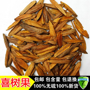 正品 无硫新货纯正喜树果 千丈树 水栗子 天梓树 500克包邮