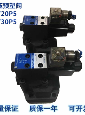 HITO电磁注塑机配件SW20P熔胶阀储料阀SW20P5/AG24Z4预塑阀 SW30P