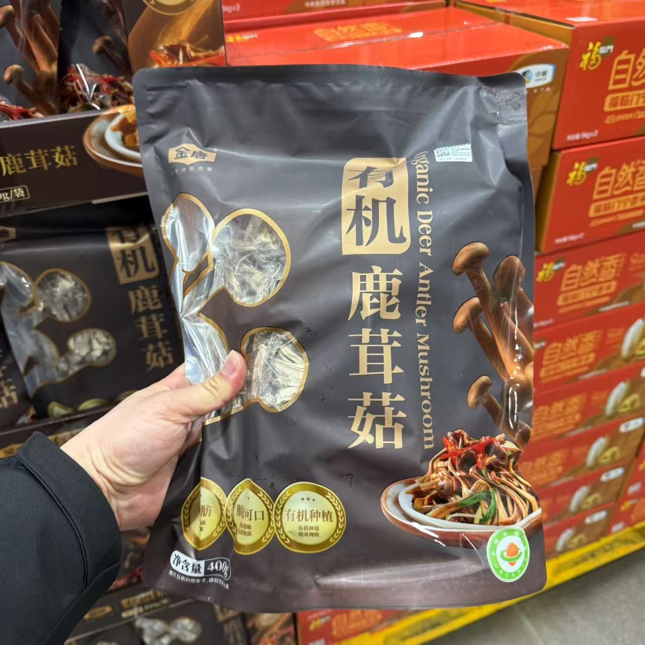金唐鹿茸菇菌菇可煲汤搭配火锅
