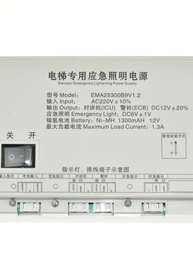 电梯应急照明电源EMA25300B9江南快速EMA25300F5西子奥的斯M2 M3