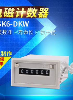 保仕德电磁计数器CSK6-CKW(YKW) CSK5-DKW(NKW)CSK4 24V 220V 110