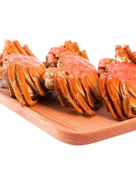 大闸蟹公蟹母蟹任选8只10只15年老店新开信誉第一不好包退