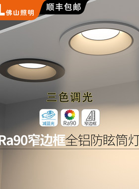 嵌入式过道无主灯筒灯FSL三色