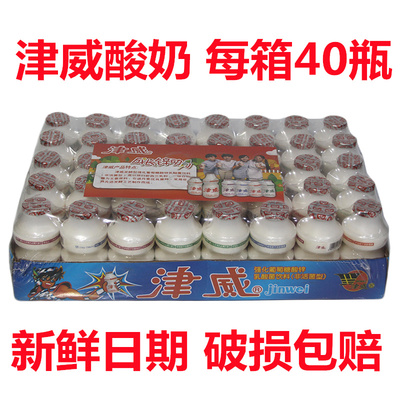 津威乳酸菌酸奶饮料整箱贵州金威葡萄糖酸锌饮95ml*40瓶正品批发