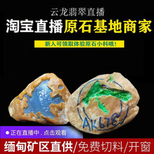 缅甸翡翠料色料阳绿开窗明料手镯1
