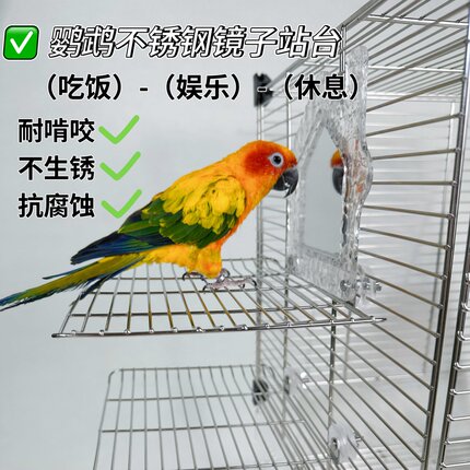 鹦鹉臭美镜子站台娱乐玩耍休息台鸟笼配件站台