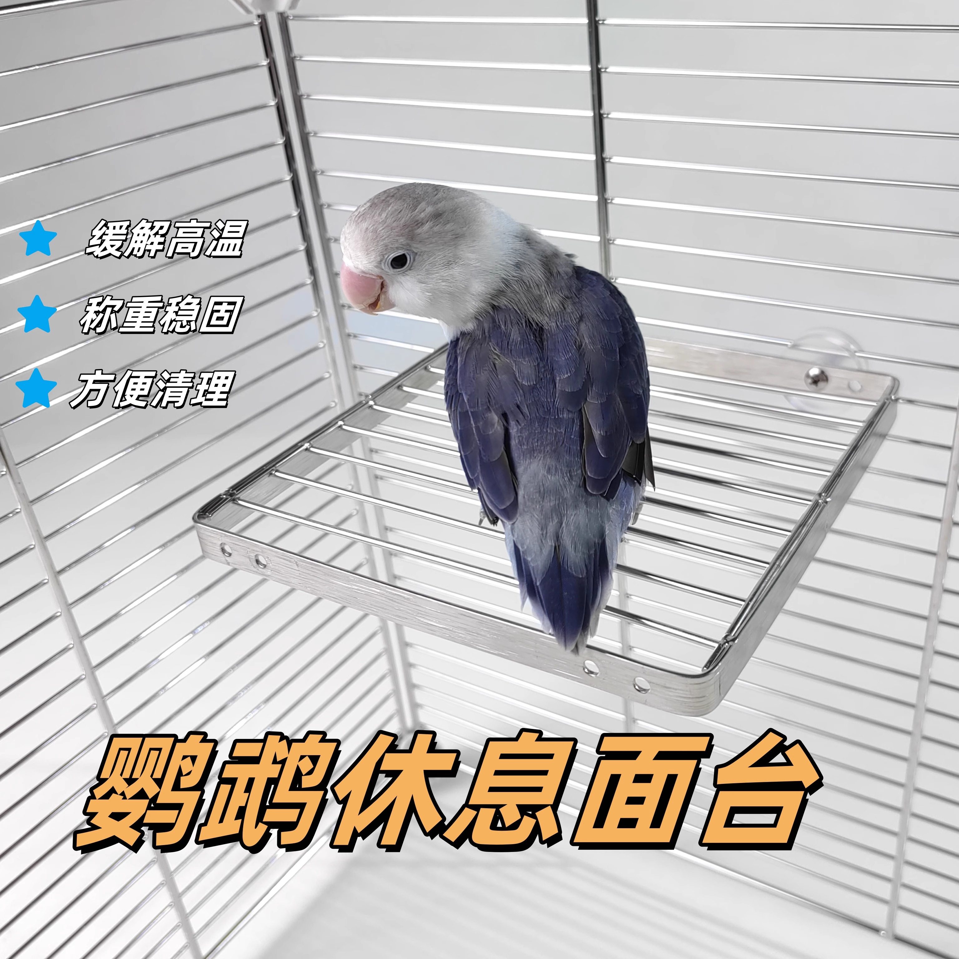 鹦鹉不锈钢移动站台站网超轻站网 休息娱乐玩耍站台,宠物/宠物食品及用品,鸟玩具,淘宝优惠券,粉丝福利购,淘宝优惠卷