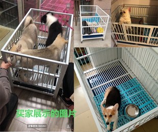 镀锌狗笼子加厚穿管跑床小型犬中大型犬展示笼室内宠物店寄养狗狗