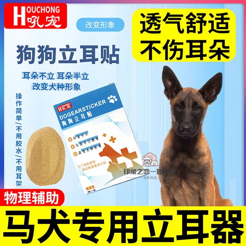 马犬专用狗狗立耳神器幼犬耳朵立耳贴中大型犬小狗竖耳朵夹子辅助 宠物/宠物食品及用品 更多日用品 原图主图