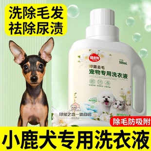 小鹿犬专用狗狗洗衣液宠物窝垫狗狗衣服去渍留香清洁剂衣物清洗液