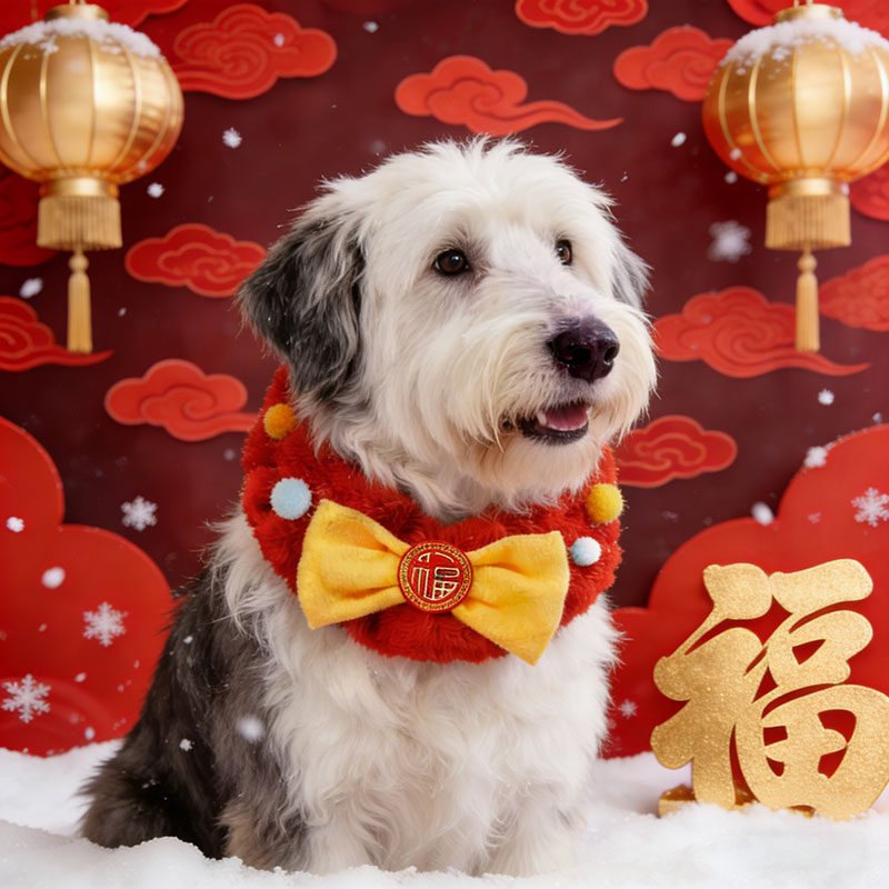 古牧专用狗狗新年围脖过年红色喜庆围巾宠物装饰品大狗围兜配饰,宠物/宠物食品及用品,围巾/口水巾,淘宝优惠券,粉丝福利购,淘宝优惠卷