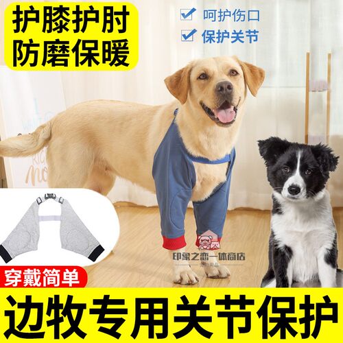 边牧专用狗狗前腿护肘衣服护膝袖套防磨宠物关节保护腿套外出防脏