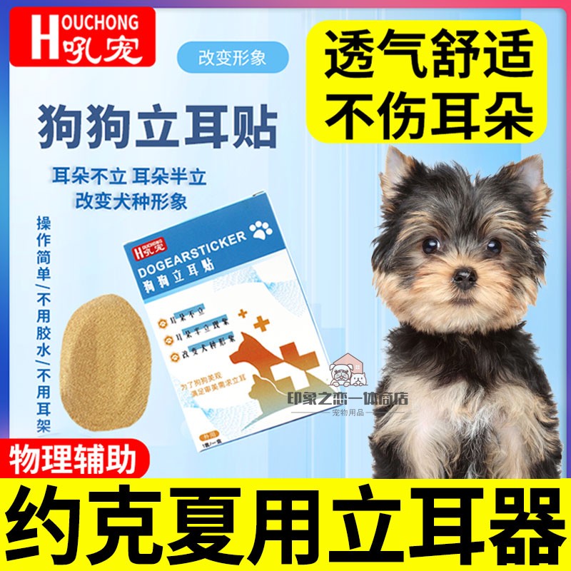 约克夏专用狗狗立耳神器小型犬狗绑耳朵立耳贴幼犬竖耳辅助固定器 宠物/宠物食品及用品 更多日用品 原图主图