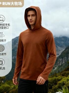 SHEEP RUN大牧场 美利奴羊毛男士180g长袖帽衫吸湿速干保暖除臭