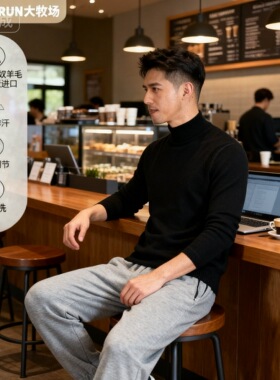 SHEEP RUN大牧场男美利奴羊毛半高领长袖修身打底衫330g