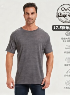 SHEEP RUN大牧场 美利奴羊毛男士短袖T 吸湿速干轻薄透气防臭户外