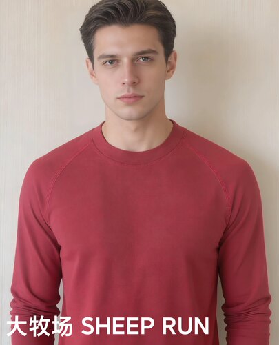 掌柜推荐美利奴羊毛户外休闲运动速干男款圆领长袖吸湿排汗速干