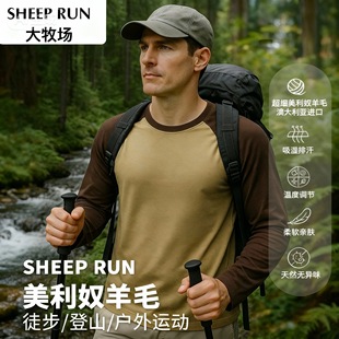 T恤吸湿排汗保暖透气防臭户外徒步上衣 美利奴羊毛长袖 SHEEP RUN