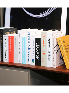 北欧风格英文创意仿真书家居装饰