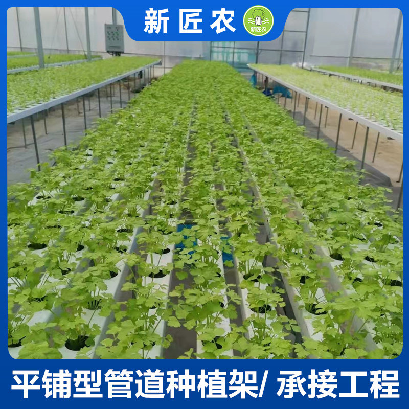 无土栽培设备楼顶工程天台纯水培管道种生菜青菜水耕平面型种植架