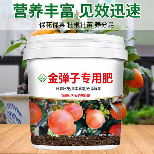 挂果有机生物肥料黄叶盆栽促花