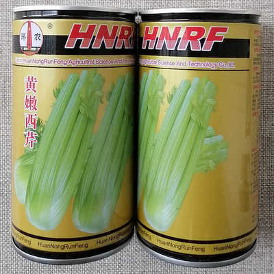 黄嫩西芹种子品质脆嫩叶柄实心