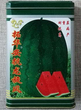 抗病椭圆绿皮西瓜种子大田高产