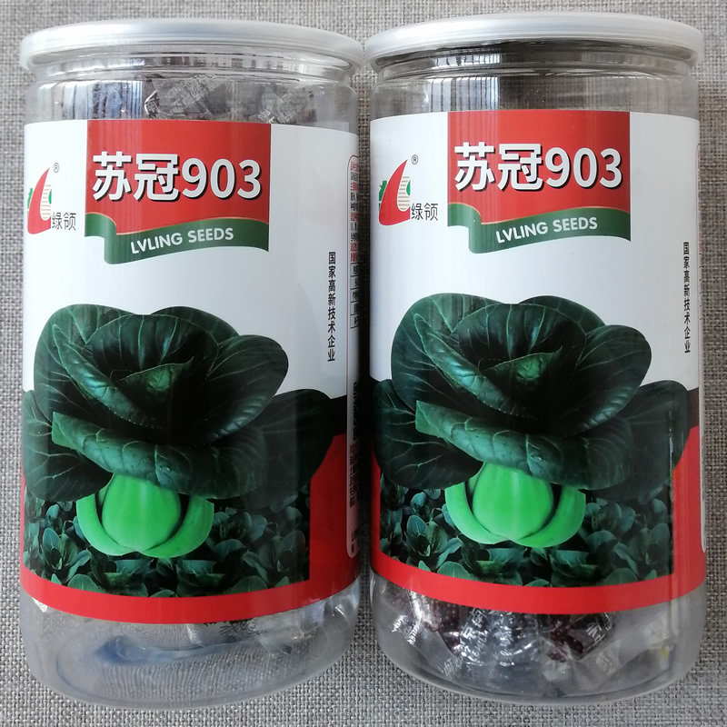 苏冠903黑叶菜种子油亮苏州青