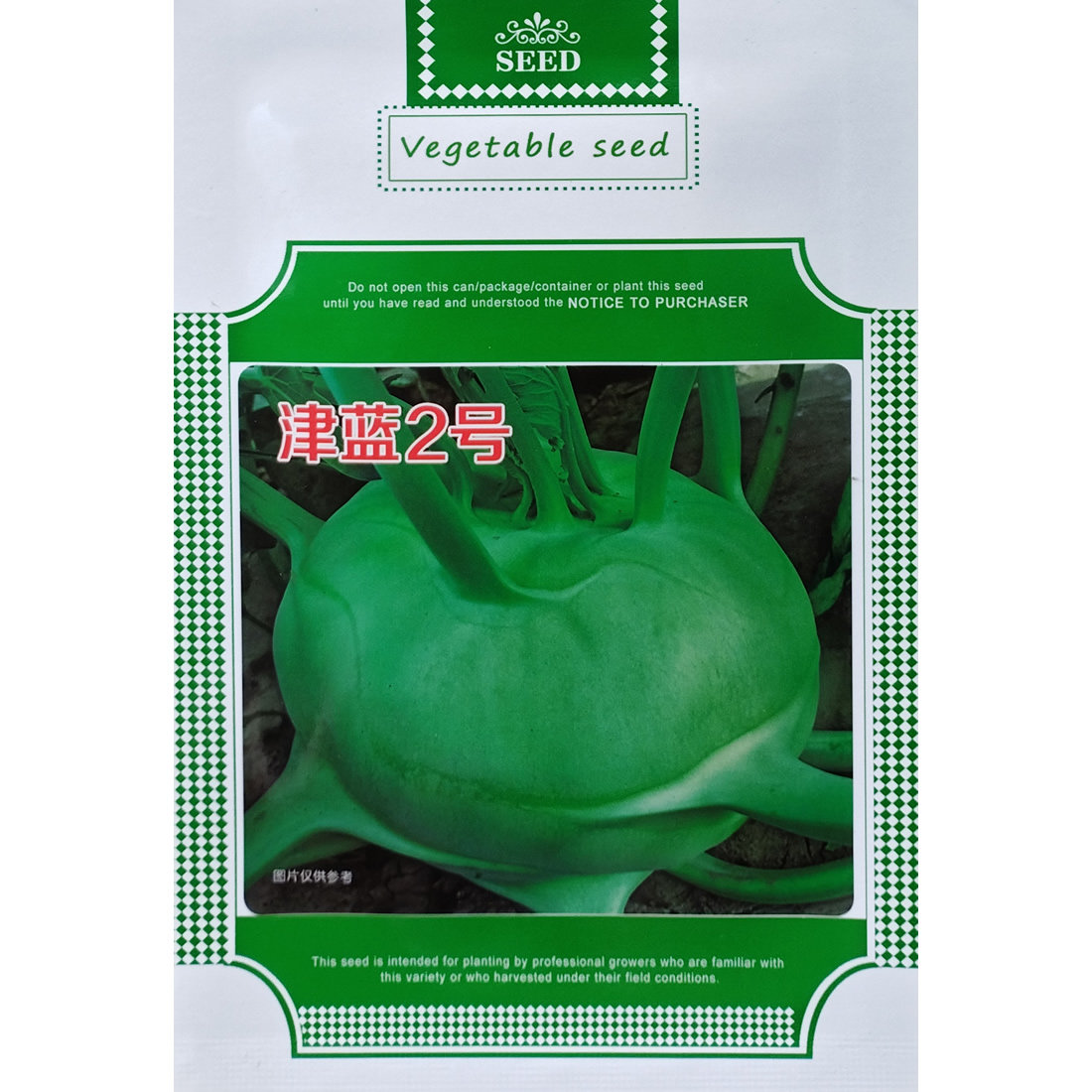 津蓝2号水果丕蓝种子球茎鲜绿扁圆口感甜脆杂交青丕兰种籽较耐寒
