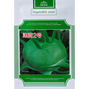 津蓝2号水果丕蓝种子球茎鲜绿扁圆口感甜脆杂交青丕兰种籽较耐寒