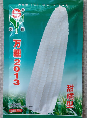 万糯2013甜糯型白玉米种子