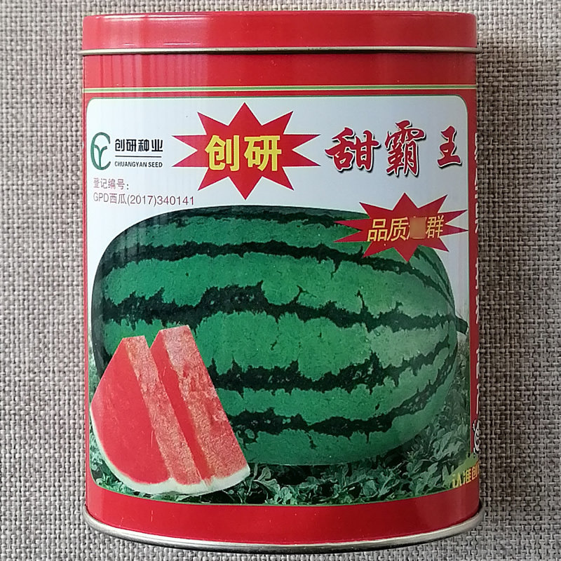 创研懒汉瓜/甜霸王西瓜种子 大红瓤 抗病高产西瓜品种 甜美多汁