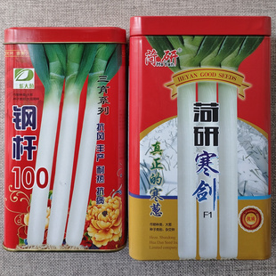菏研寒剑大葱种子葱白高大粗壮高产耐热抗寒四季山东章丘大葱种籽