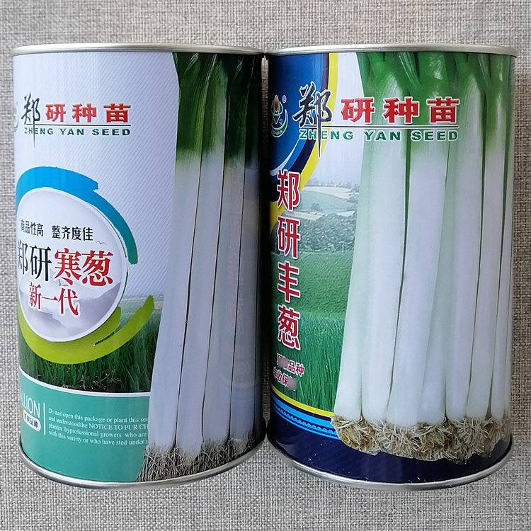 郑研寒葱新一代大葱种子郑研丰葱种籽高产耐寒葱香味浓脆嫩味甜