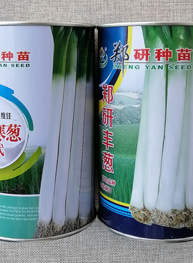 郑研寒葱新一代大葱种子郑研丰葱种籽高产耐寒葱香味浓脆嫩味甜
