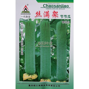 丝满架节节瓜种子 一代杂交丝瓜种子 皮薄口感微甜 早中熟 耐热