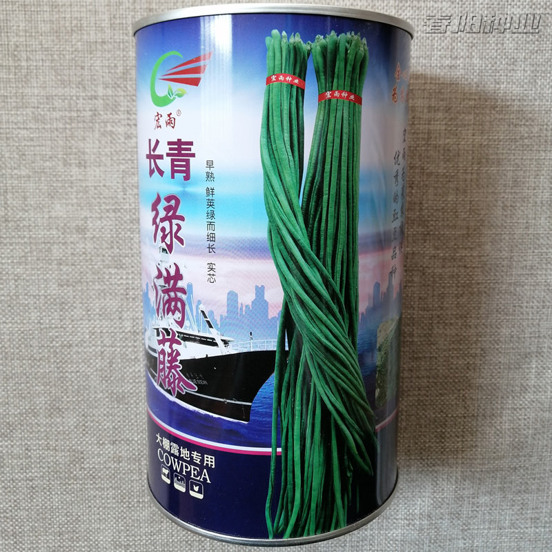 长青绿满藤豆角种子早熟实心鲜荚深绿豆荚细长大棚露地豇豆种籽