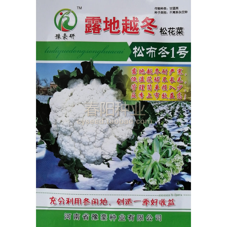 松花菜种子越冬耐寒花椰菜松布冬