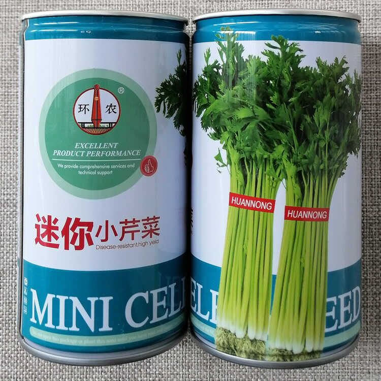 四季速生密植小芹菜种子清香脆嫩迷你实心小香芹种籽耐寒抗热芹菜