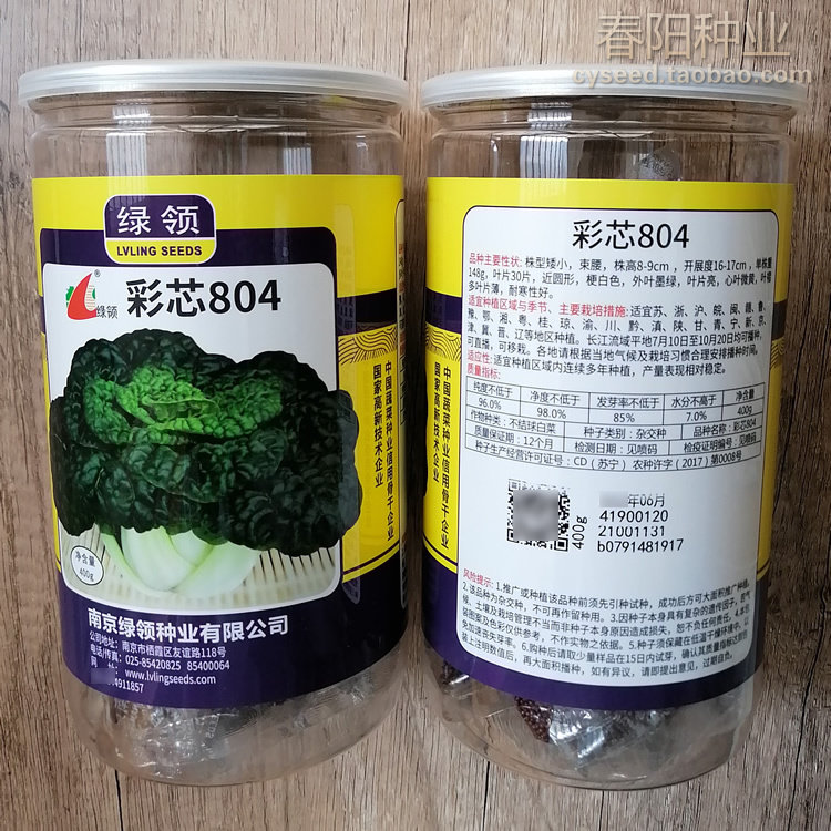 彩芯804乌塌菜黄心乌黑心乌种子