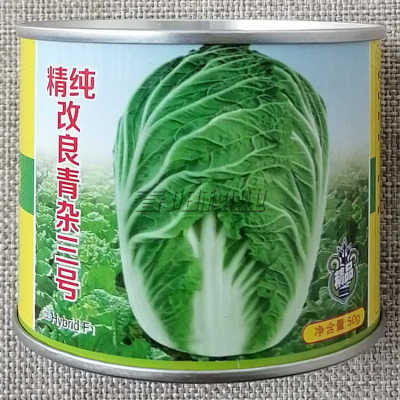 青硕精纯改良青杂三号大白菜种子