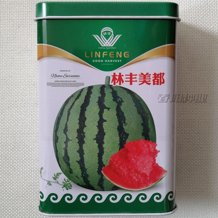 林丰美都西瓜种子 改良8424京欣西瓜种籽 口感脆甜 外观美 韧性强