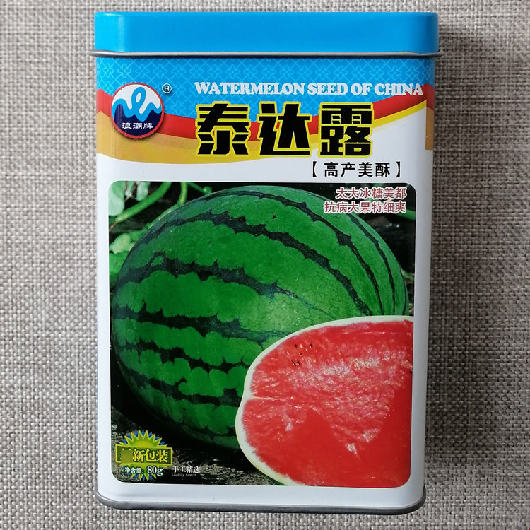浪潮泰达露冰糖美都类西瓜种子