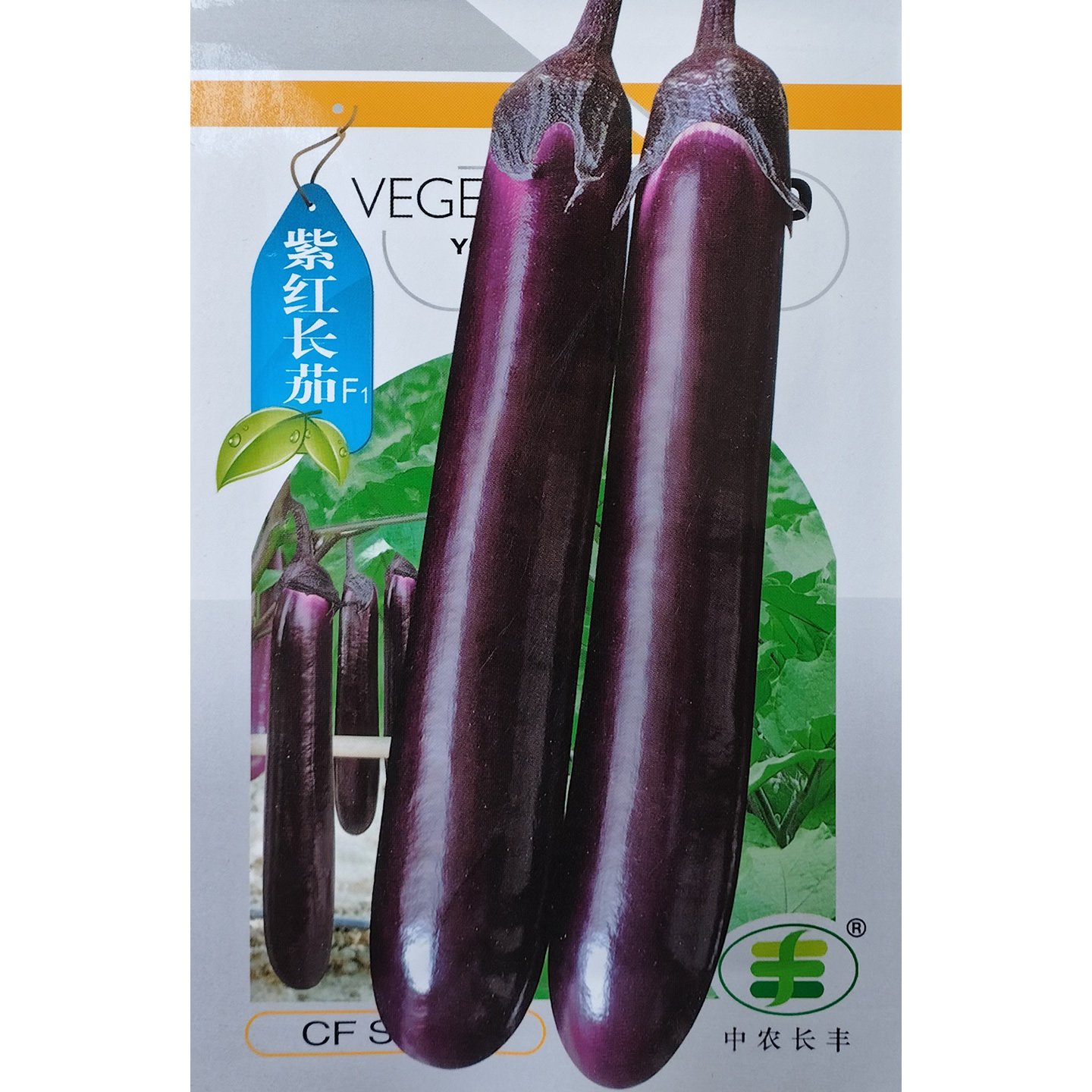 中农长丰紫红长茄种子耐热耐湿果肉白色细嫩优质高产紫红茄子种籽