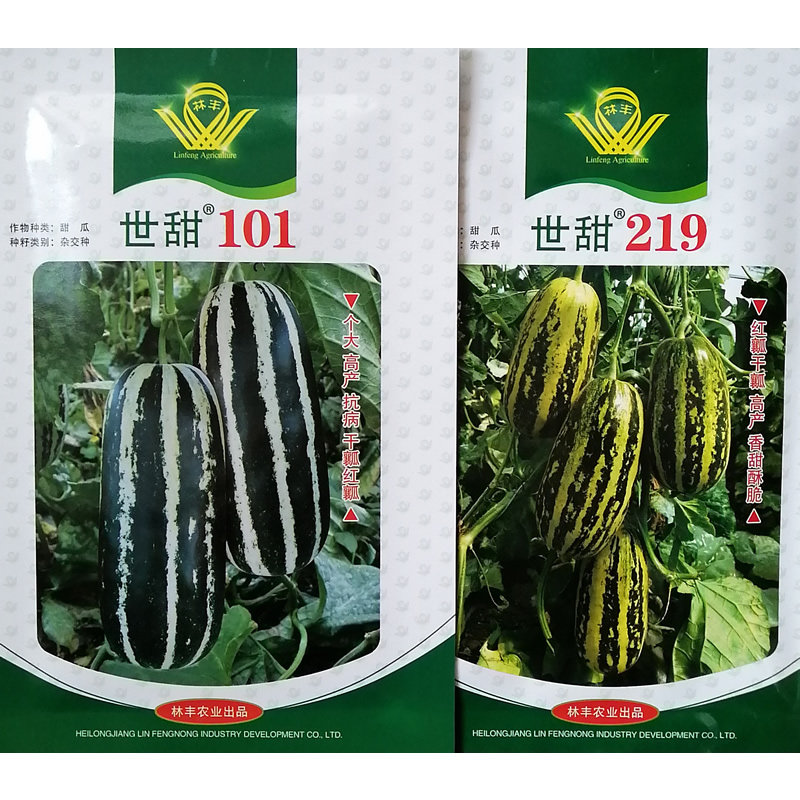 林丰甜瓜种子世甜博洋甜瓜种籽香甜酥脆糖度高红瓤绿肉早熟花皮