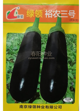绿领裕农三号茄子种子伏秋茄果长粗棒形紫黑色茄子种籽高产墨茄